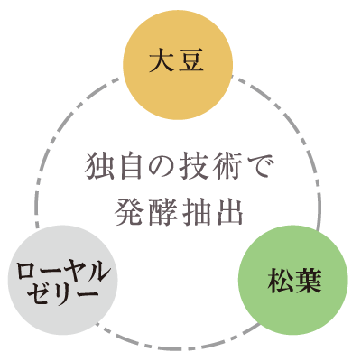 オリジナル酵素